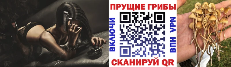 Галлюциногенные грибы мицелий  Каменка 